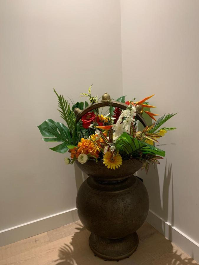 Vieux Nice-3 Pieces Moderne- 100M De La Mer 외부 사진